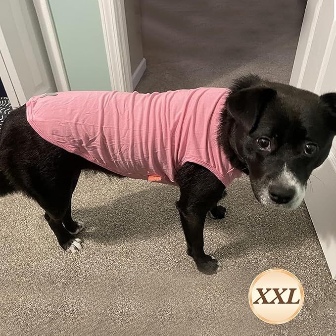 KYEESE 2Pack Dog Shirts Striped Soft Stretchy Dog T-Shirts Lightweight Tank Top Sleeveless Vest Breathable Pet Outfit, XX-Large, Green+Pink