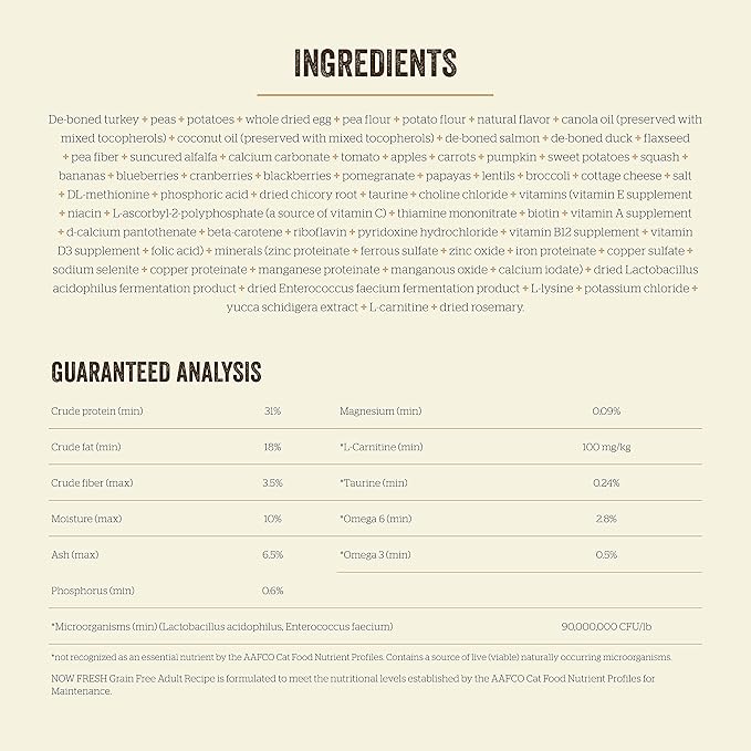 Now Fresh Grain-Free Dry Cat Food with Turkey, Salmon & Duck, Healthy Kibble for Adults Made with Real Meat & Fish, Chicken-Free, with Pumpkin & Probiotics for Sensitive Stomachs, 3 lb Bag