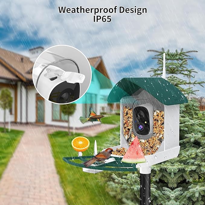 Bird Feeder with Camera,AI Identify Birds Species,Smart Birds Camera with Solar Powered,Auto Record FHD Feather Visitor Video in Backyard,Patio,Instant Notifications,Ideal Gifts for Bird Lovers