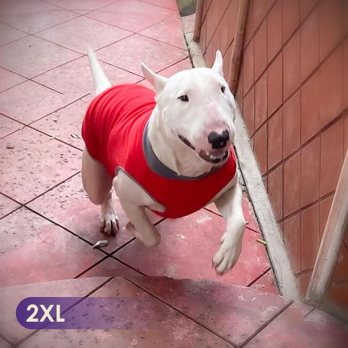 cyeollo 2 Pack Dog Sweater Sweatshirt Stretchy Soft Fleece Vest Pullover with Reflective Stripe Dog Jacket Lightweight Pet Clothes for Medium Dogs Grey & Red