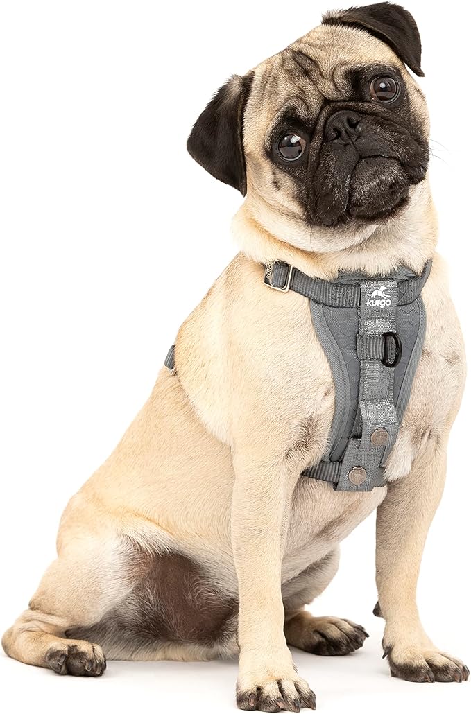 Kurgo Enhanced Strength Tru-Fit Dog Car Harness - Pet Travel Safety Harness - Crash Test Certified Fit - Five Point Adjustment - Secure Buckle - Padded Chest - Charcoal - X-Small