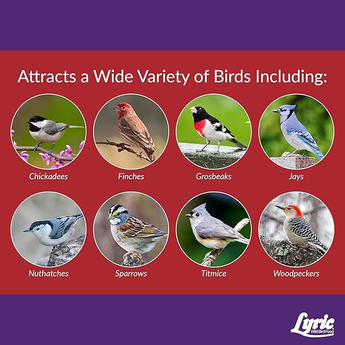Lyric Delite Wild Bird Seed for Outside Feeders - No Waste Bird Food, Nuts & Seeds Mix, Attracts Buntings, Chickadees & Finches, 10 lb (Pack of 2-5 lb Bags)