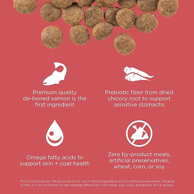 Go! Solutions Sensitivities Limited Ingredients, Grain-Free Dry Dog Food, Salmon Recipe for Sensitive Stomach, 12 lb Bag