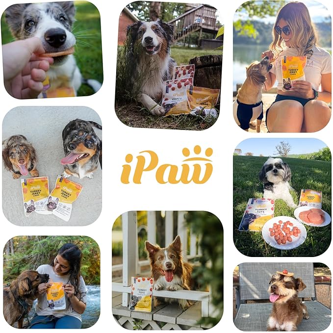iPaw Chicken Tots Dog Treats for Puppy Training, All Natural Human Grade Dog Treat, Hypoallergenic, Easy to Digest (Chicken Tots)