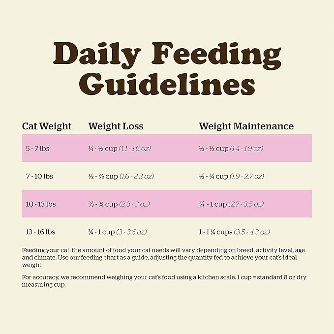 Now Fresh Grain-Free Dry Cat Food with Turkey, Salmon & Duck, Healthy Kibble for Adults Made with Real Meat & Fish, Chicken-Free, with Pumpkin & Probiotics for Sensitive Stomachs, 3 lb Bag