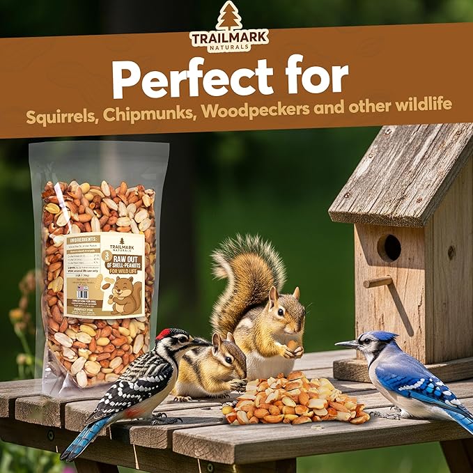 11 LB - Raw Shelled Peanuts for Squirrels, Out of Shell Peanuts for Birds and Wildlife- Squirrel Food, Wild Bird Seed - Grown in The USA