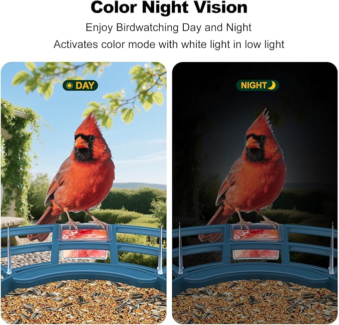 Bird Feeder with Camera,FHD Live View Video,Smart WiFi Bird Feeder Camera with Solar Panel,AI Birds Identification,IP65 Waterproof Birds House with Cam,Instant Arrival Alerts,Ideal Gift for Fathers