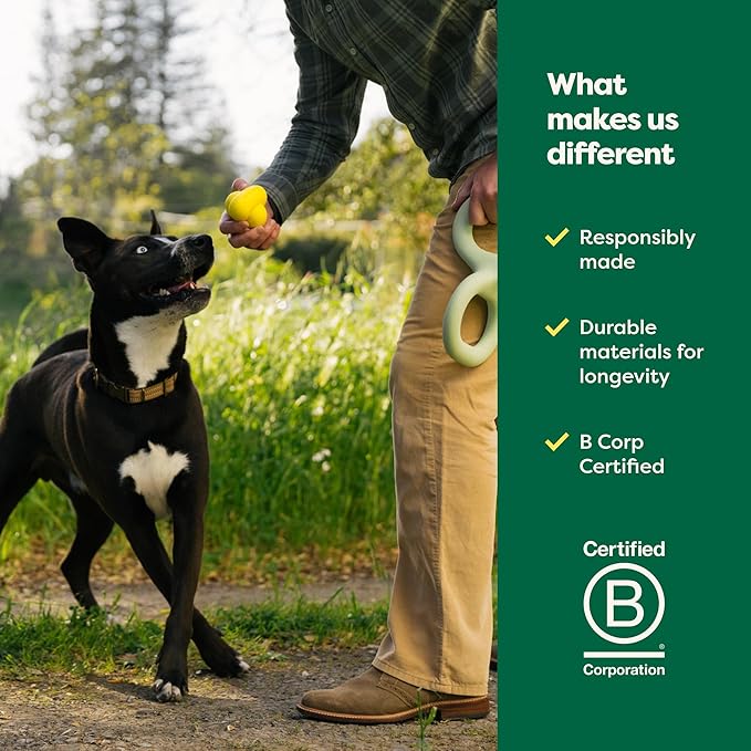 Earth Rated Dog Ball, Interactive Fetch Toy for All Breeds, Comes in Multiple Sizes, Made with Natural Rubber, Perfect for Indoor and Outdoor Use, Medium, Yellow