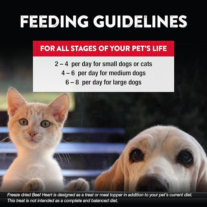 Northwest Naturals Raw Rewards Freeze-Dried Beef Heart Treats for Dogs and Cats - Bite-Sized Pieces - Healthy, 1 Ingredient, Human Grade Ingredient, All Natural, Proudly Made in USA, 10 Oz (Pack of 3)