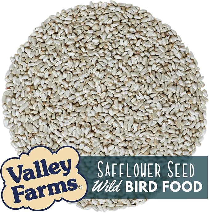 Valley Farms Safflower Seed Wild Bird Food 4 LB 2-Pack (8 LB Total) for Outside Feeders, Safflower Bird Seed for Cardinals, Grosbeaks, and Buntings, Cardinal Birdseed for Outside Feeders