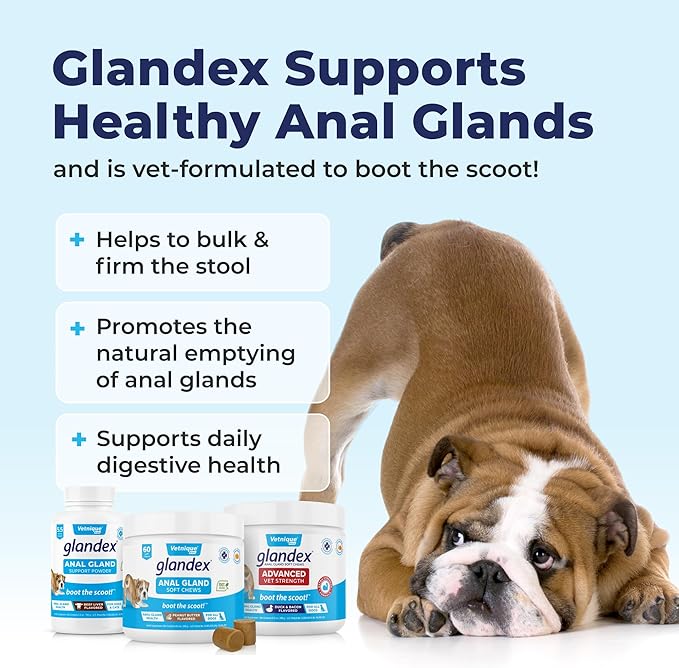 Vetnique Glandex Dog Fiber Supplement Powder for Anal Glands with Pumpkin, Digestive Enzymes & Probiotics - Vet Recommended (Regular or Advanced Strength) - Boot The Scoot (5.5 oz, Vegan Salmon)