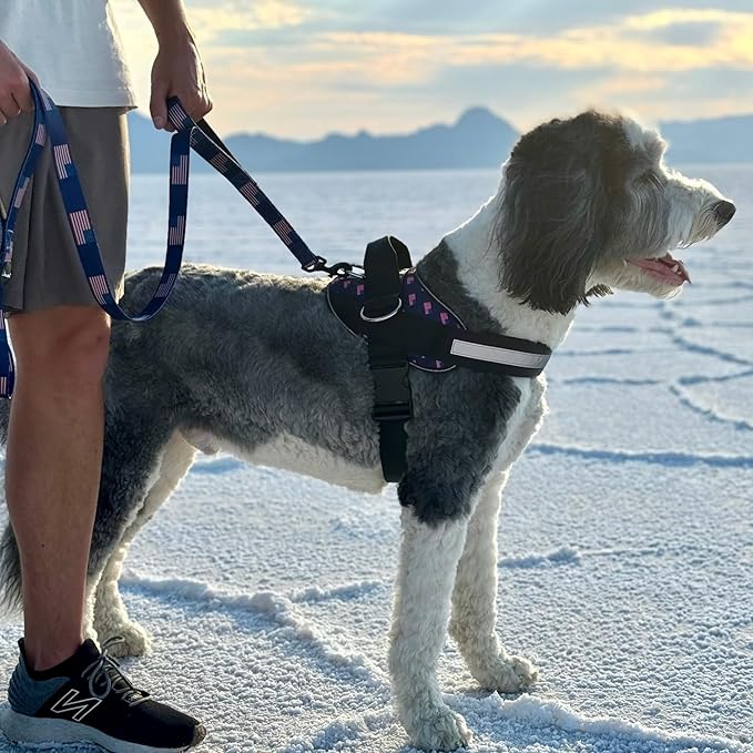 ShawnCo Essential Dog Harness, No-Pull Pet Vest with 3 Leash Clips, No Choke, Reflective, Adjustable and Padded, for Easy Walking and Training for Small, Medium and Large Dogs (USA Flag,S)