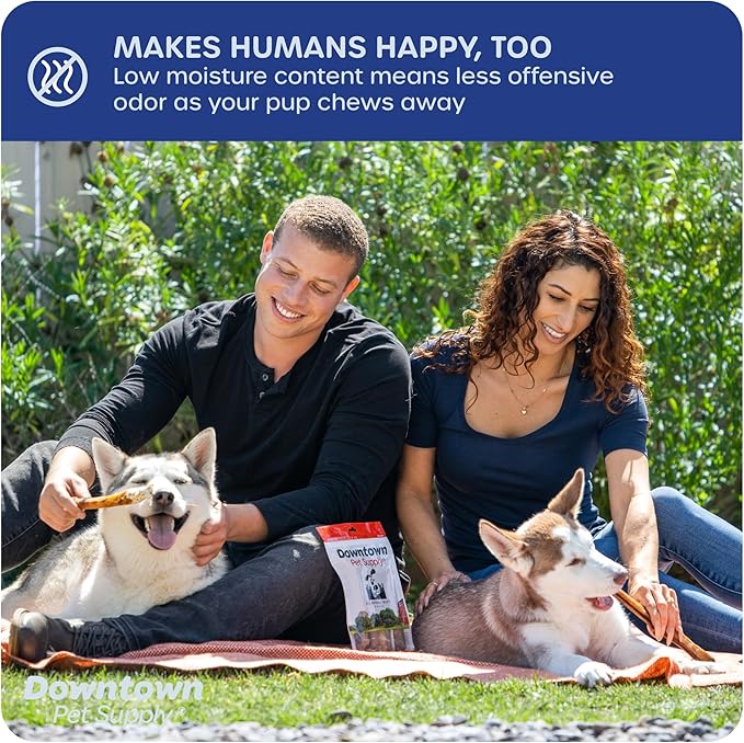 Downtown Pet Supply USA-Made 6", 3 Lb. Jumbo Bully Sticks for Large Dogs - Rawhide Free Dog Chews Long Lasting and Non-Splintering - Single Ingredient, Low Odor Bully Sticks for Medium Dogs