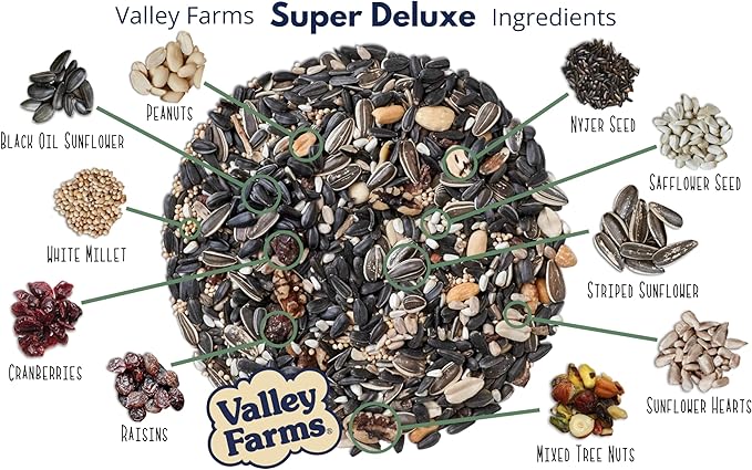 Valley Farms Super Deluxe Wild Bird Food 4 LBS (Pack of 2) for Outside feeders - 0% fillers - w/Sunflower Seed -Peanut kernels -Feed More Birds w/Less Seed