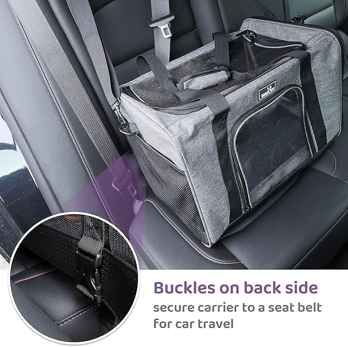 TSA Approved Pet Carrier for Small Medium Cats and Dogs | Dog Carrier with Adequate Ventilation | 4 Mesh Windows, 3 Entrance, Locking Safety Zippers, Padded Shoulder Strap, Black