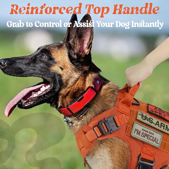 rabbitgoo Tactical Dog Harness Medium Sized, Heavy Duty Pet Harness with Handle, No-Pull Service Vest Medium Breed, Adjustable Military Dog Vest for Training Hunting Walking, Orange, M