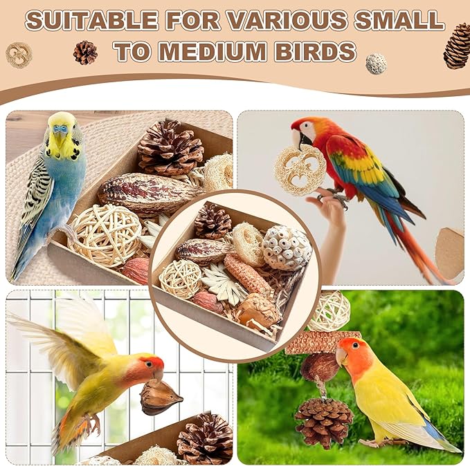 2 in 1 Parrot Toys, Tyotrbs Parakeet Foraging Box DIY Hanging String with Comes with 2 Hooks Bird Toy for Parakeets,Cockatiels,Conures,Love Birds Cage Accessories for Small to Medium Birds