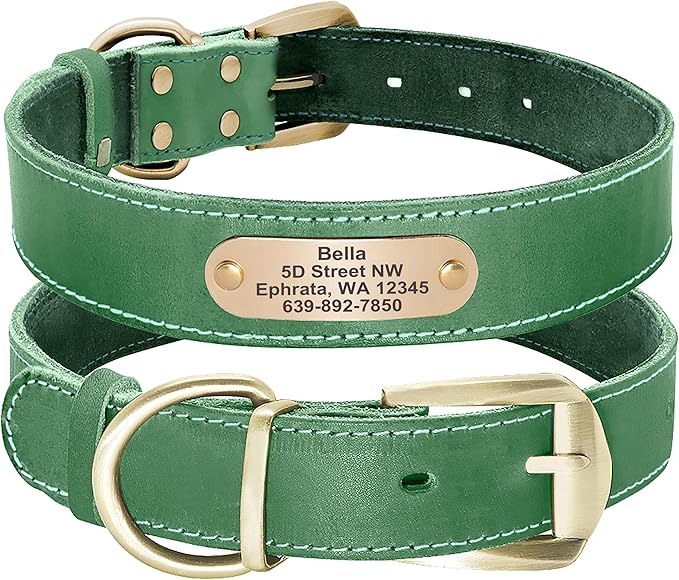 Didog Genuine Leather Dog Collars with Engraved Nameplate, Personalized Soft Leather Dog Collar with Custom ID Tag, Brown/Green/Red for Medium Large Dogs (XL,Green)