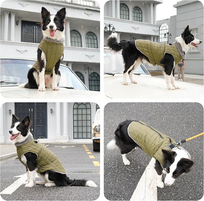 Warm Fleece Dog Coats with Durable Harness Buitl in D-Ring,Waterproof Puppy Jacket for Small Dogs,Dog Vest for Cold Winter,Green S