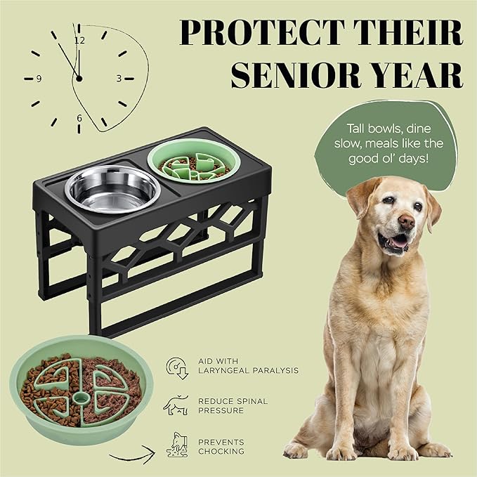 AVERYDAY Large Slow Feeder Dog Bowls Elevated, 4 Height Adjustable Raised Dog Bowl Stand with Stainless Steel Food and Water Bowl, Tall Dogs Feeding Station with Anti-Slip for Medium Large Breeds Dogs