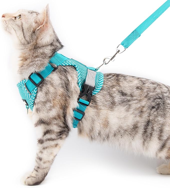 Cat Harness and Leash Escape Proof Large Kitten Harness Ragdoll Cat Vest for Walking Travel, Turquoise, L