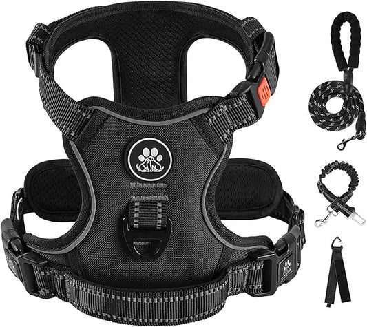 IVY&LANE No Pull Dog Harness for Small Dogs, Dog Vest Harness with Leash, Safety Belt and Storage Strap, Fully Adjustable Harness, 360° Reflective Strip, Soft Handle (Black, S)