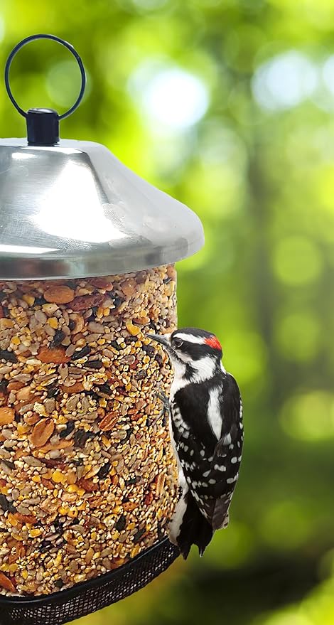Songbird Treats Seed Tower 2 Packs | Bundle of 2 | 1.5-2 lb Seed Log Towers for Wild Birds (Woodpecker Crunch)