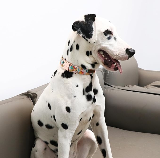 Unique style paws Dog Collar Metal Buckle Gift for Small Medium Large Boys Girls Dogs orange