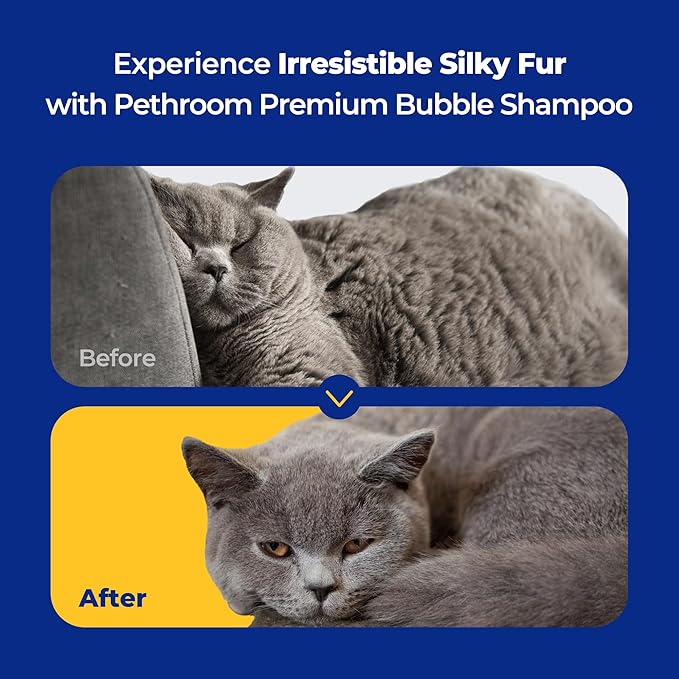 [PETHROOM] Premium Cat Silky Shampoo & Conditioning | Strengthen Skin Barrier, Hypoallergenic, Tear-Free, Fragrance-Free, Deep-Cleansing, Itch Relief, Moisturizing, Remove Odors