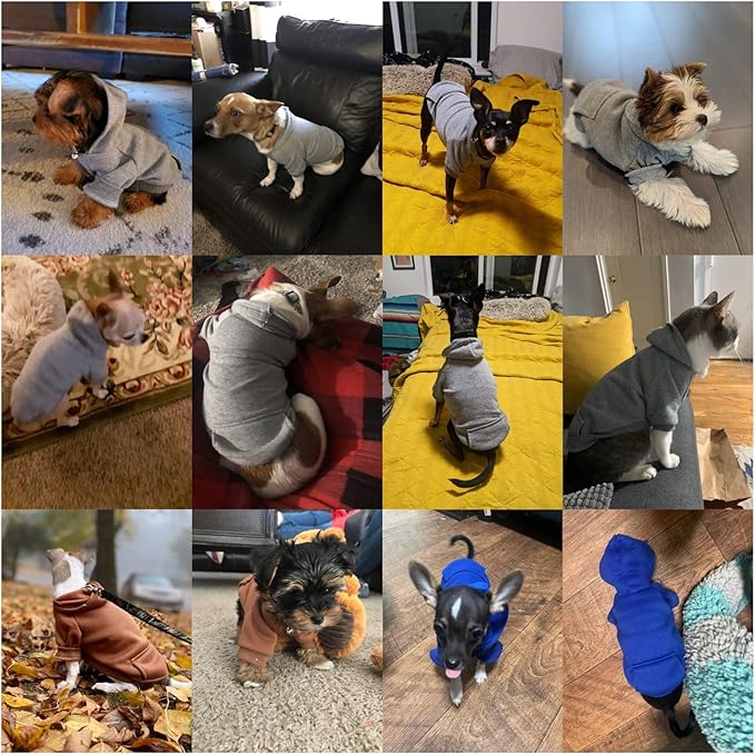 Jecikelon Winter Dog Hoodie Sweatshirts with Pockets Warm Dog Clothes for Small Dogs Chihuahua Coat Clothing Puppy Cat Custume (Grey, Large)