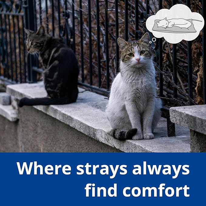 Outdoor Heated Dog Bed, Soft Pet Heating Pad with Steel-Wrapped Cord, Outside Pet Warmer for Feral Cats and Dogs, 35.4" x 23.6", 80 Watts