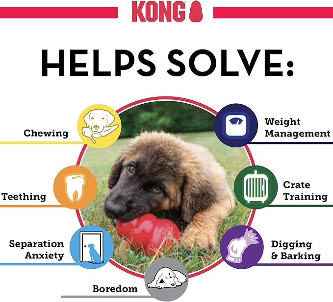 KONG Classic Stuffable Dog Toy - Fetch & Chew Toy for Dogs - Treat-Filling Capabilities & Erratic Bounce for Extended Play Time - Durable Natural Rubber Material - for Medium Dogs (Pack of 2)