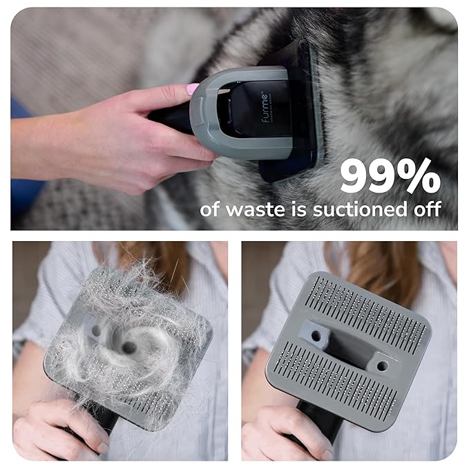 Professional Pet Grooming Vacuum Kit - Cat & Dog Grooming Kit for Easy Pet Care at Home, Quiet & Safe Dog Hair Remover Machine with Brush, Clipper, Shedding & Cleaner Tools & 2L Canister