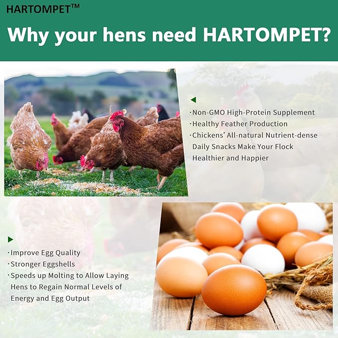HARTOMPET Better Than Dried Mealworms for Chickens 10 lbs - 85X Calcium Than MealWorms - Non-GMO Chicken Feed Additive & Molting Supplement - black soldier fly larvae Treats for Hens, Ducks, Wild Bird