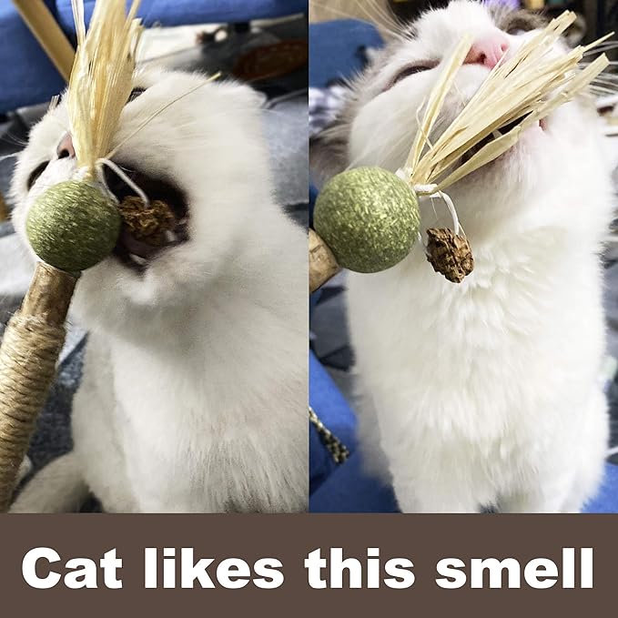 PAZ'S GIFT Catnip Toy cat Toys Catnip Toy cat chew Toy cat Kicking silvervine Stick Teeth Cleaning Cute Kitten Teething Indoor Interactivecat Dental Care Matatabi (Chewing cat Toys)