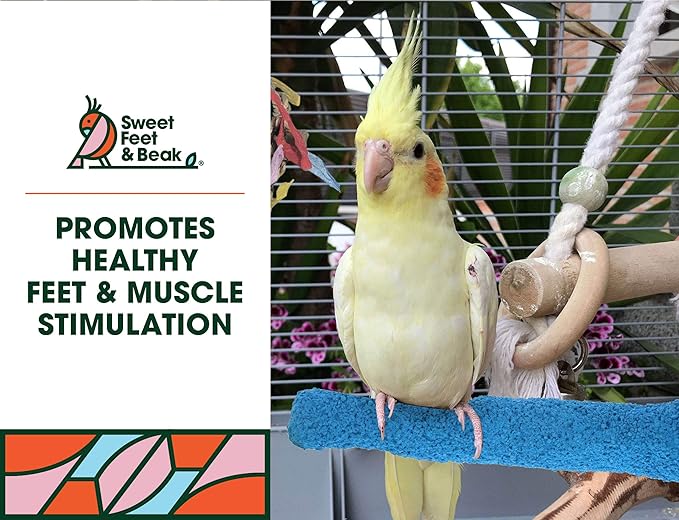 Sweet Feet and Beak Comfort Grip Safety Perch for Bird Cages - Pedicure Perch for Birds to Keep Nails and Beaks in Top Condition - Safe Easy to Install Bird Cage Accessories - M 8.5"