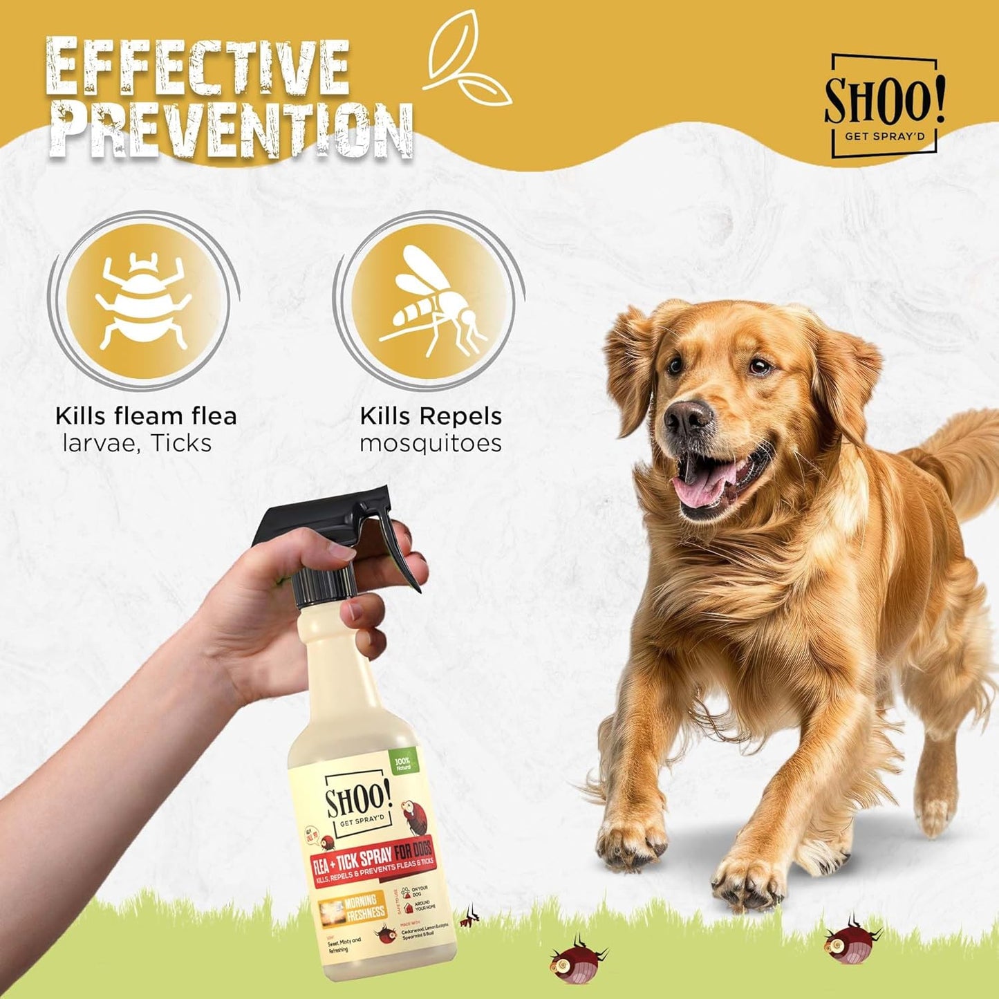 Shoo! Flea & Tick Spray for Dogs and Home | Plant Based, Natural Oils, Chemical Free Formula | Kills, Repels, Prevents | 16 oz (Morning Freshness)