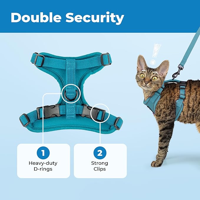 Best Pet Supplies Voyager Escape Proof Cat Harness and Leash Set with Reflective Stitching, Neoprene Handle 5ft - Supports Small, Medium and Large Cats, Kittens - Turquoise, M (Chest: 16.5-19.5")