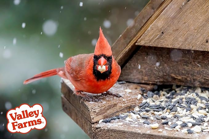 Valley Farms Fruit Nut & Berry (4 LB) Wild Bird Food Outside Feeders, Bird Seed with Dried Fruit, Peanuts, Sunflower, and Safflower, High Energy Mix for Healthy Birds!