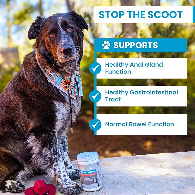 PawMedica Dog Anal Gland Chews to Stop Scoot for Dogs - Anal Gland Dog Constipation Relief - Recommended Dog AnalGland Support Chews Fiber - Fiber Supplement for Dogs (120 Dog Pumpkin Chews)