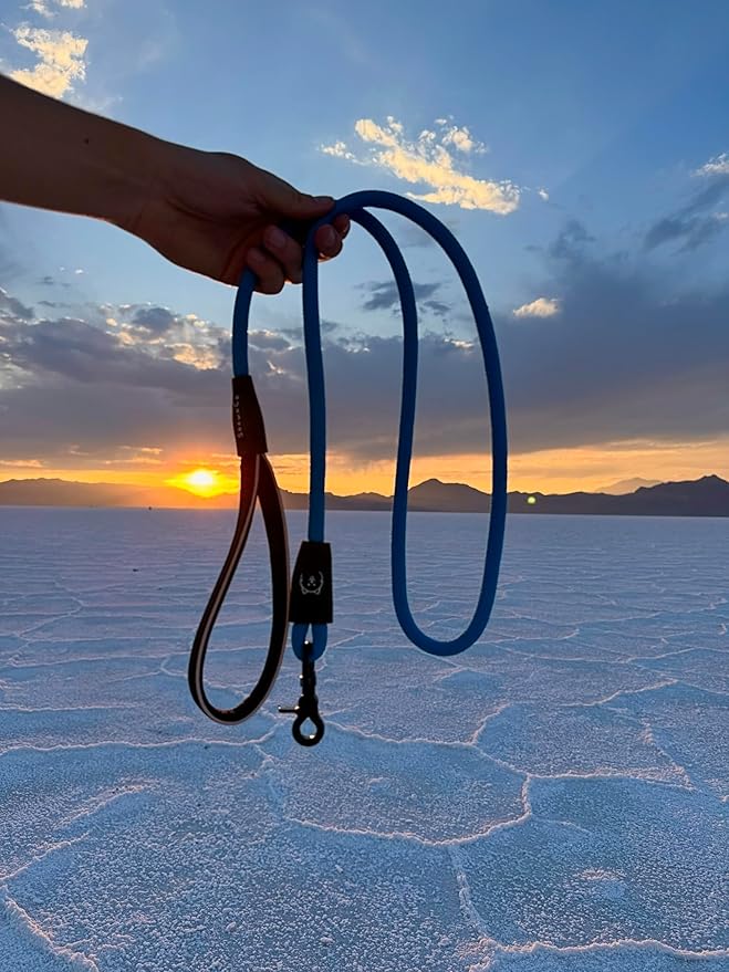 ShawnCo Basecamp Rope Dog Leash- Premium, Durable Pet Leash with Soft Neoprene Padded, Reflective Handle for Small, Medium and Large Dogs (Moonglow, 6 Feet)