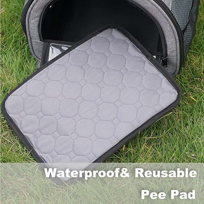 Guinea Pig Carrier, Small Pet Carriers for Rabbit Hamster Bird Bunny Bearded Dragon Kitty and Etc. Animal Bag with Stable Handle and Waterproof Pad, Easy Travel and Vet Visit-Large