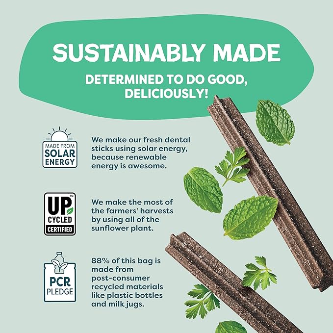 Shameless Pets Dental Treats for Dogs, Variety (4-Pack) - Healthy Sticks for Teeth Cleaning & Fresh Breath - Dog Bones Dental Chews Free from Grain, Corn & Soy