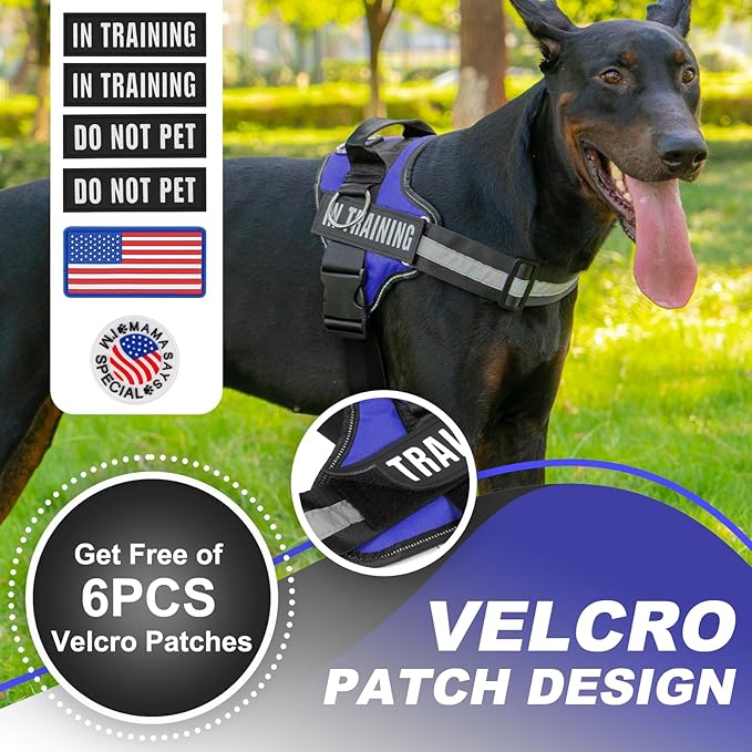Essential Dog Harness with 3 Leash Clips - No-Pull, Adjustable, Comfortable Pet Vest Harness for Small to Large Dogs - Easy On, No Choke, Reflective, Padded Harness for Walking and Training