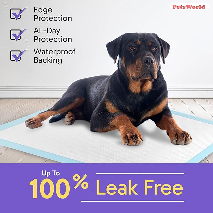 PetsWorld XL Dog Pee Pads 30"x36", 600-Count – Heavy Duty, Leak-Proof Potty Training Pads for Puppies & Large Dogs, Super Absorbent, Quick-Dry Disposable Pads with Odor Control