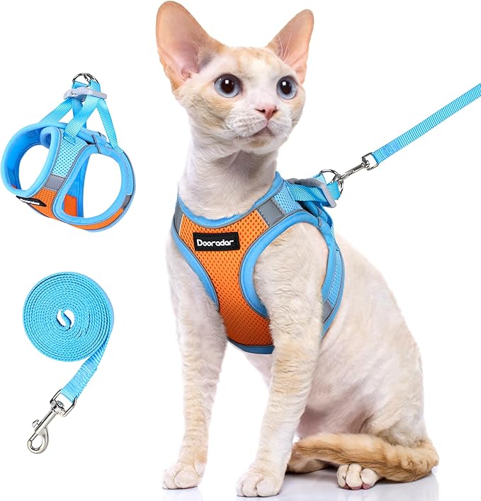 Dooradar Cat Harness and Leash Set, Escape Proof Lightweight Kitten Harness, Soft Breathable Reflective Vest for Outdoor Walking Traveling, Adjustable for Small Cats, Orange & Blue, S