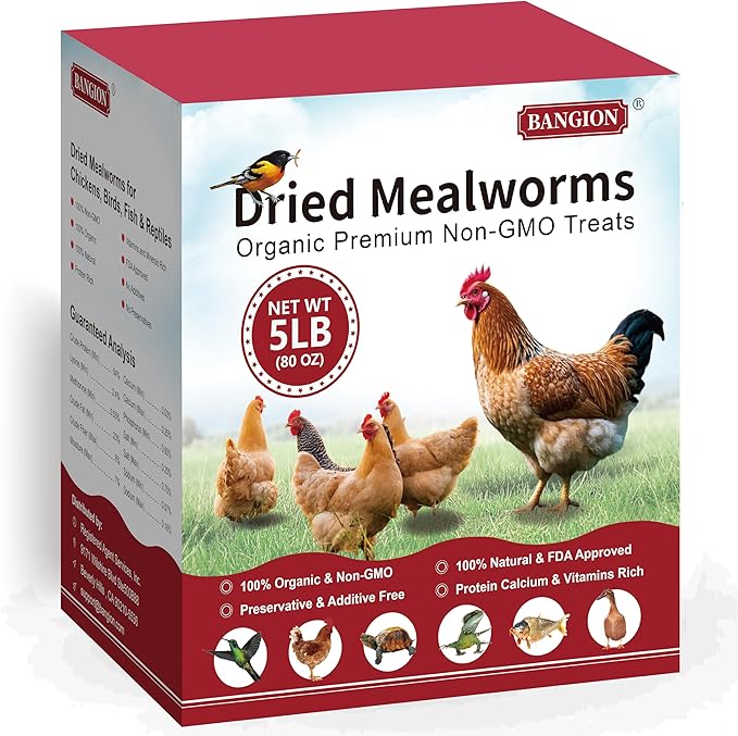 Organic Dried Mealworms for Chickens 5 LB Natural Non-GMO Mealworms High Protein Chickens Feed Meal Worms for Chicken Wild Birds Bluebirds Ducks Turtles Reptiles Laying Hens Treats & Food