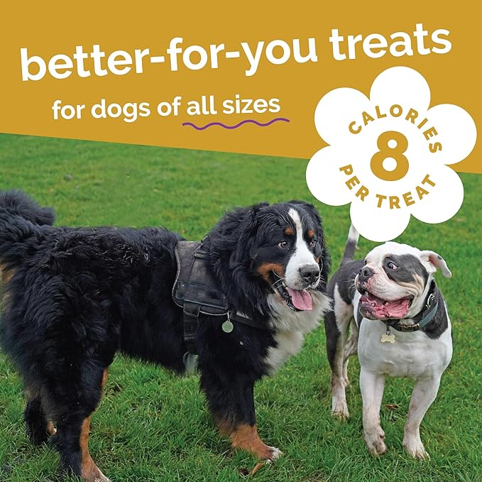 Fruitables Baked Dog Treats, Healthy Pumpkin Treat for Dogs, Low Calorie & Delicious, Free of Wheat, Corn and Soy, Made in The USA, Chicken and Cranberry Flavor, 20 oz