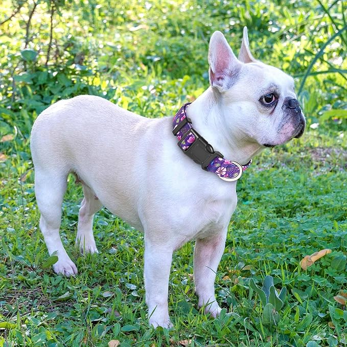 Reflective Dog Collar Padded with Soft Neoprene Breathable Adjustable Nylon Dog Collars for Small Medium Large Dogs (Small (Pack of 1), Purple/Pink Floral Collar+Leash)