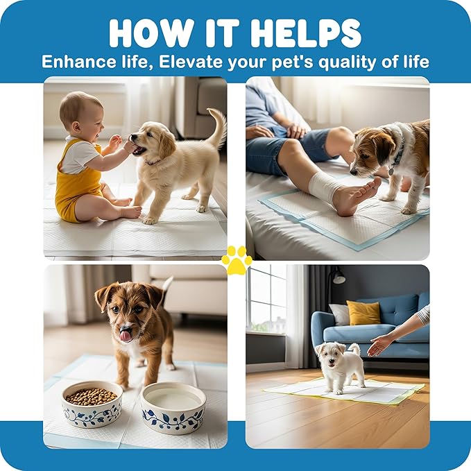 MoMoCo Value Pack Puppy Training Pads 23"x23", 200 Count (Pattern100 + Pink100) – Leak-Proof & Super Absorbent Potty Pads for Small Dogs, Cats & Rabbits